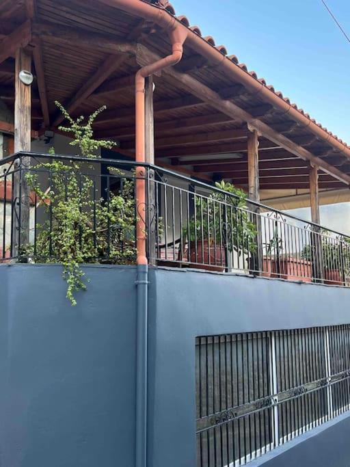 Apartment Lemon Tree *